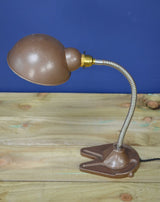 Industrial Gooseneck Desk Lamp by Hawkins Drury