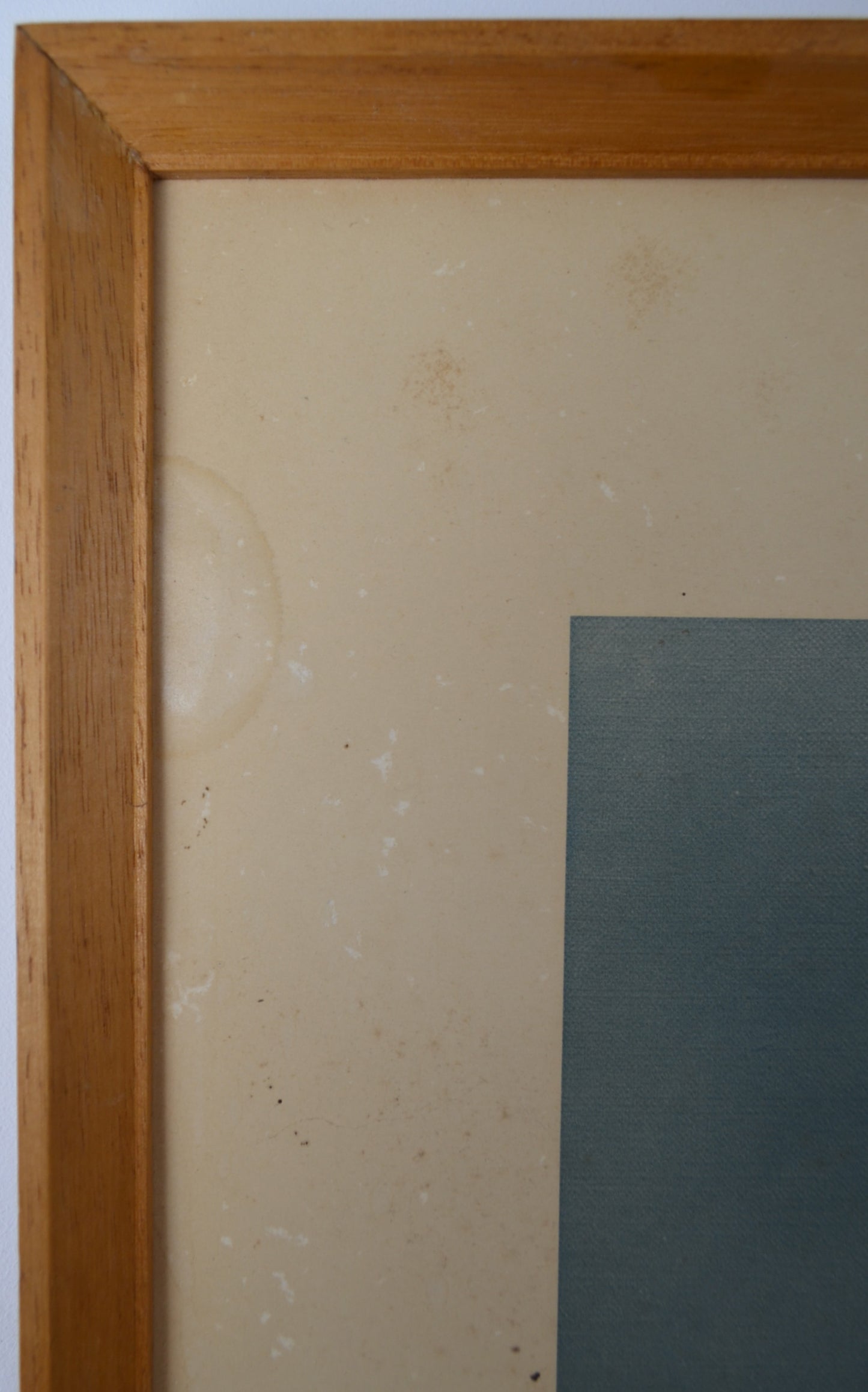 Original Signed David Shepherd Elephant Print