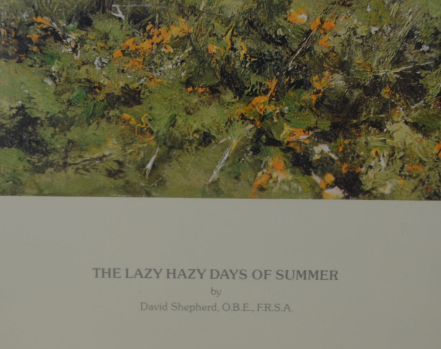 Original Signed David Shepherd Print