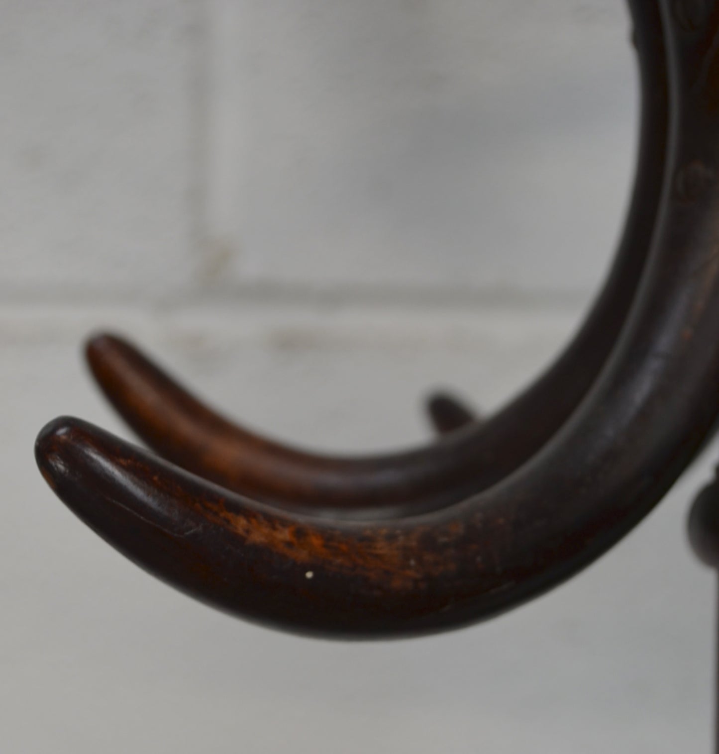 A 19th Century Thonet Bentwood Coat/Hatstand