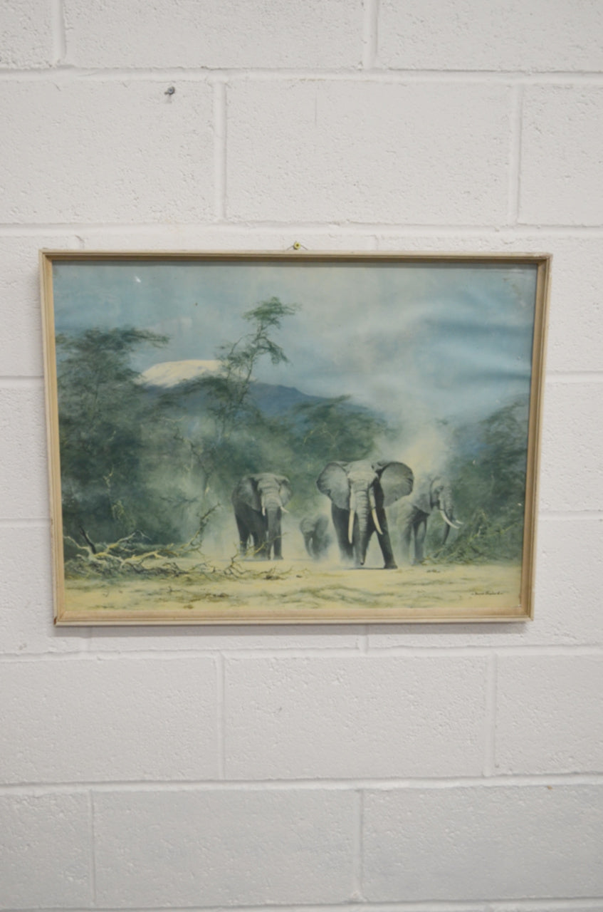 Original David Shepherd Elephant Print