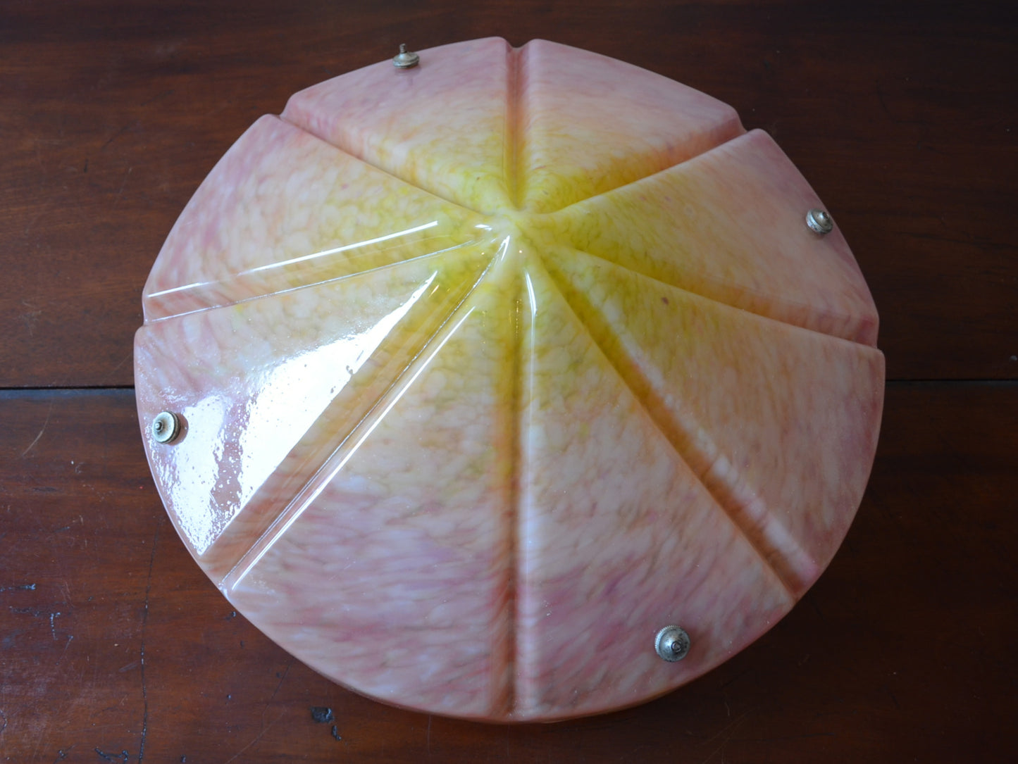 Vintage Ceiling Light (LARGE fly catcher)