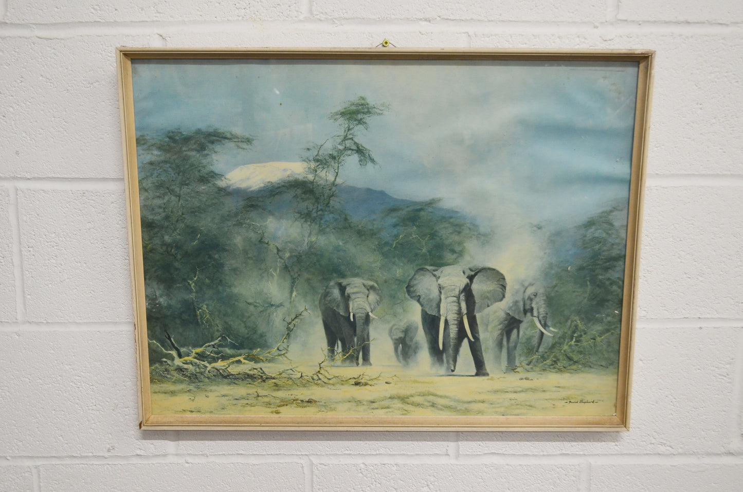 Original David Shepherd Elephant Print