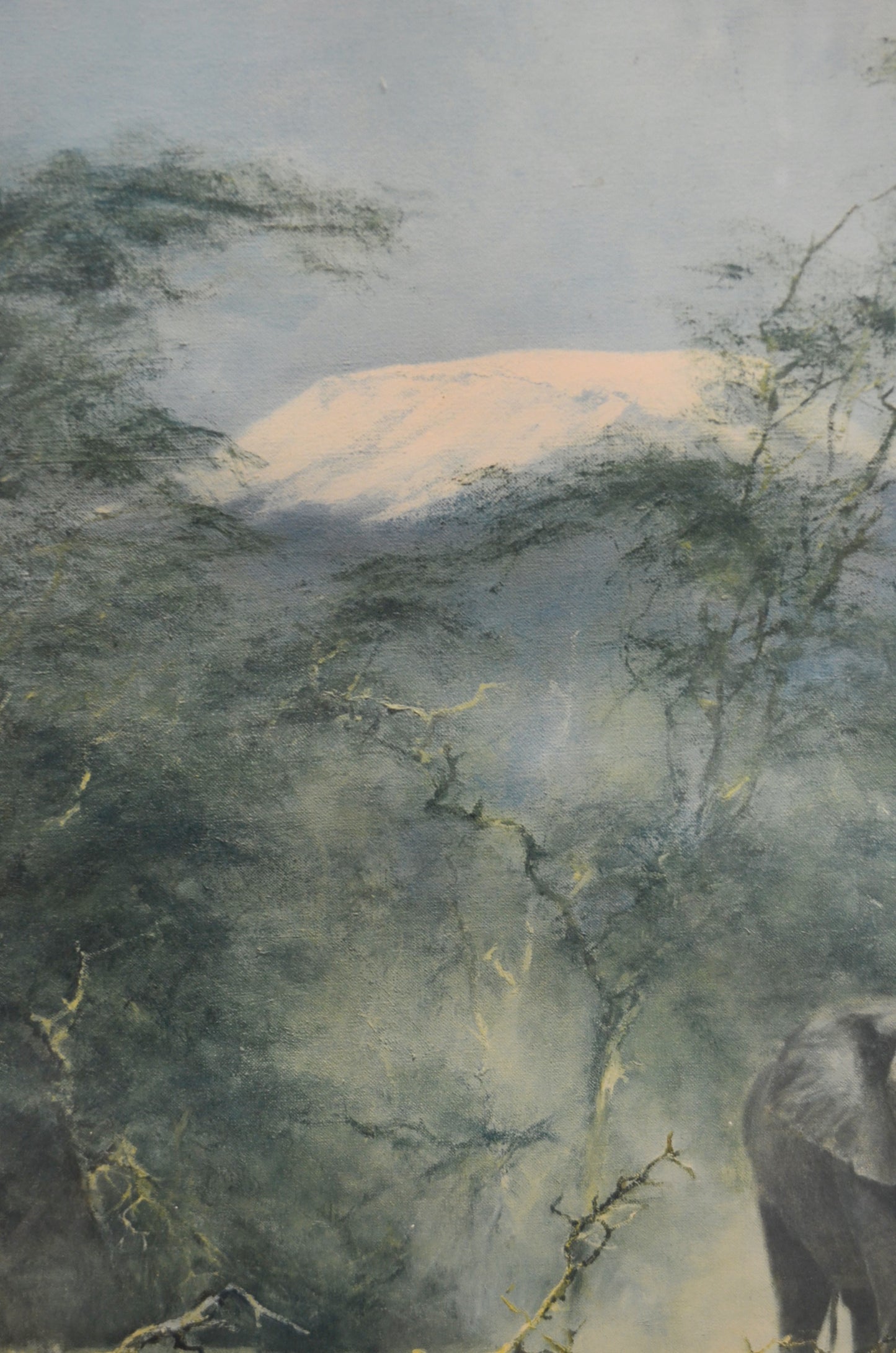 Original David Shepherd Elephant Print