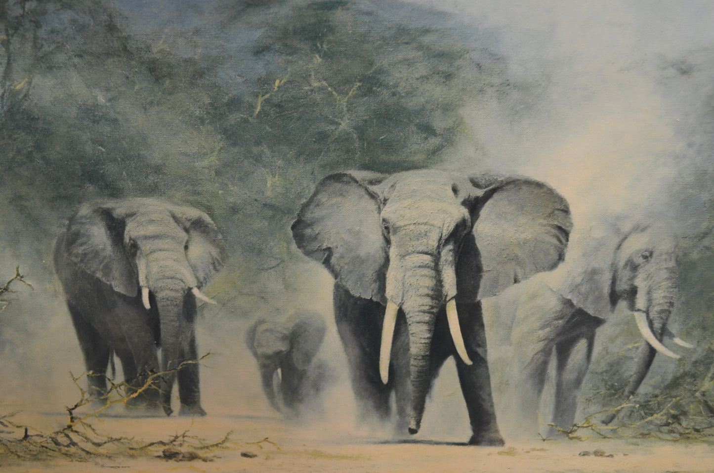 Original David Shepherd Elephant Print