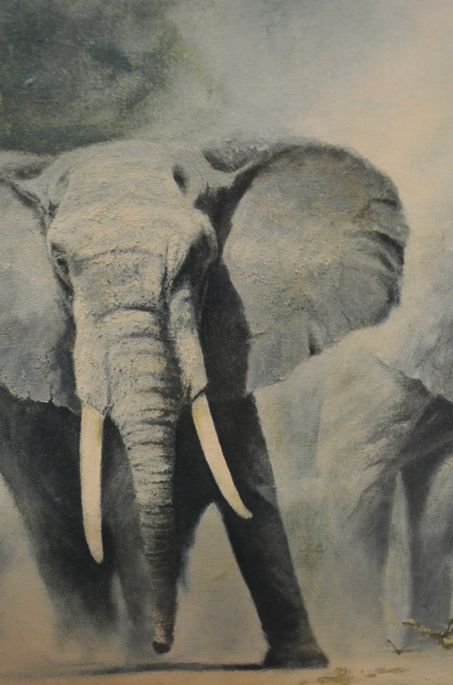 Original David Shepherd Elephant Print