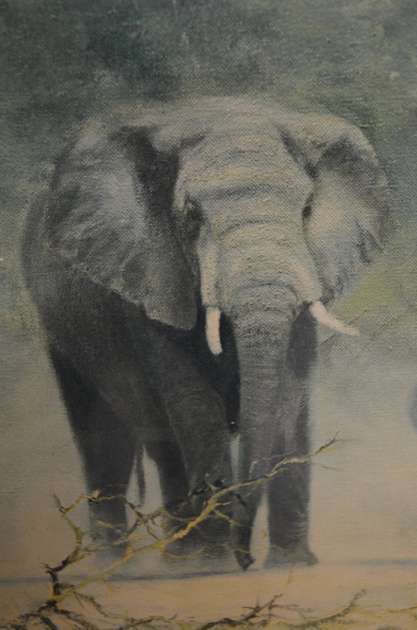Original David Shepherd Elephant Print
