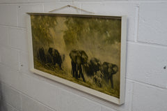 Original David Shepherd Elephant Print