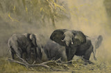 Original David Shepherd Elephant Print