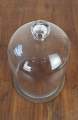 Vintage Glass Display Dome