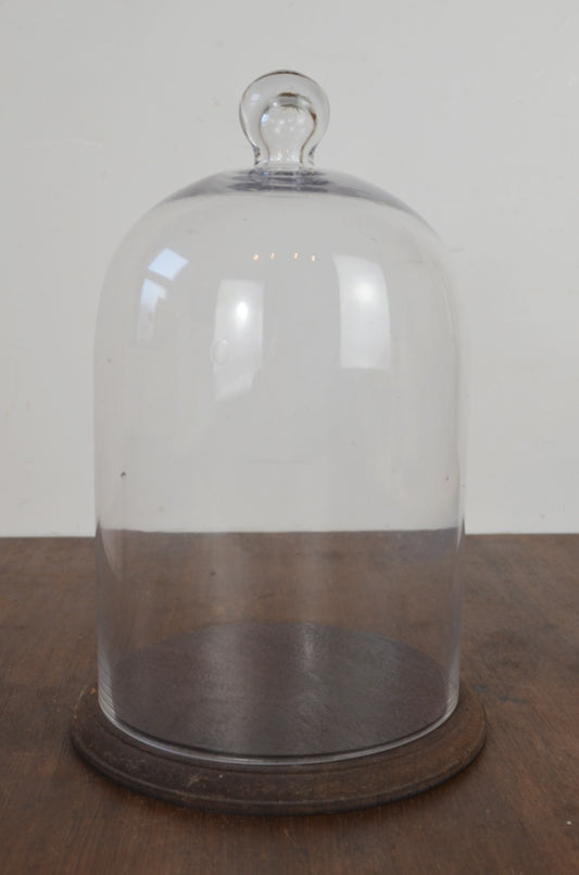 Vintage Glass Display Dome