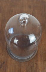 Vintage Glass Display Dome (2)