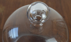 Vintage Glass Display Dome (2)
