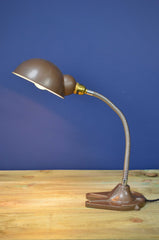 Industrial Gooseneck Desk Lamp by Hawkins Drury