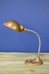 Early 20th Century Gooseneck Desk Lamp