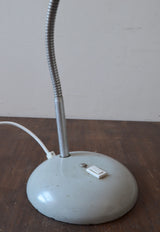 Vintage Laboratory  Lamp
