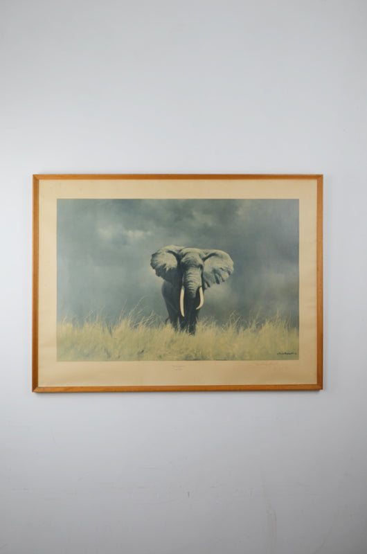 Original Signed David Shepherd Elephant Print – Alt Interiors