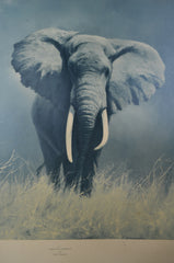 Original Signed David Shepherd Elephant Print