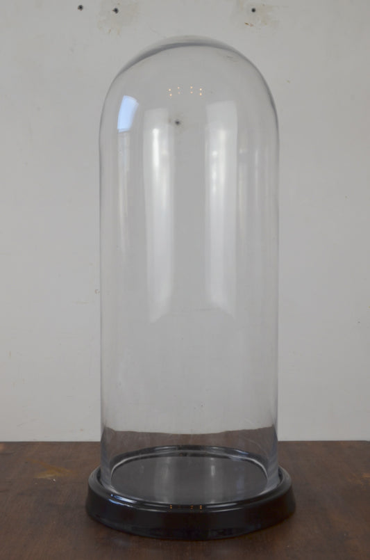 Vintage Glass Display Dome