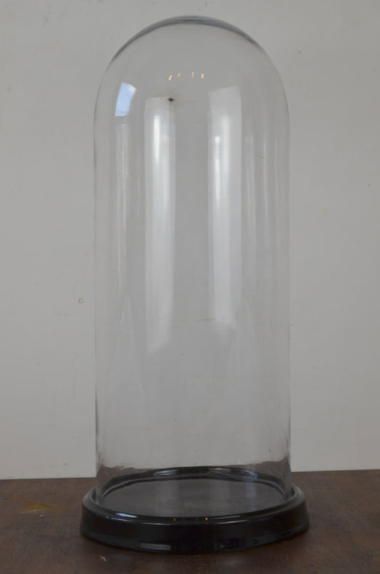 Vintage Glass Display Dome