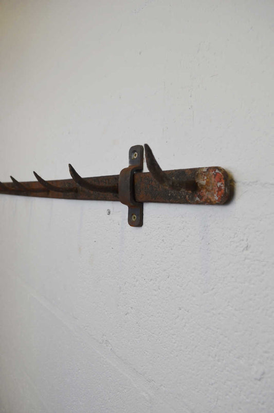 French 19th Century Butchers Hooks