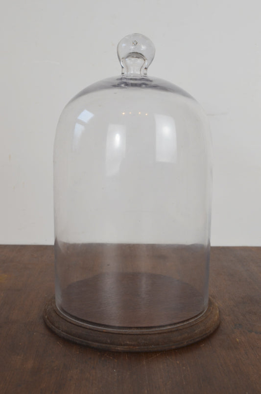 Vintage Glass Display Dome