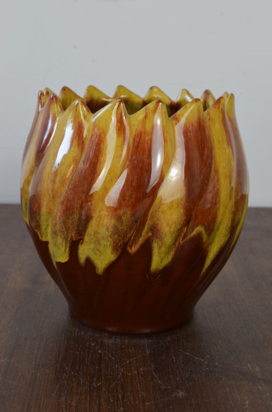 Vintage Canadian Vase