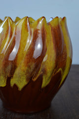 Vintage Canadian Vase
